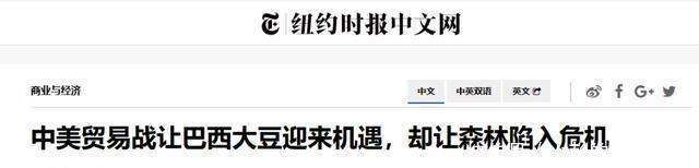 巴西政府部署新措施以加速吸引外资并扩大各州出口