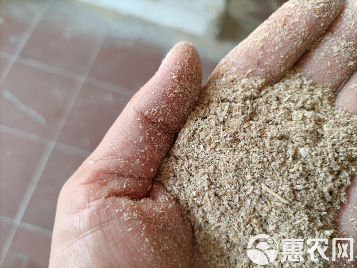 泰商业部与沙特公司签订3 万吨木薯订单