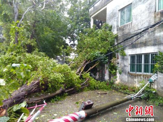 斯12月首周迎来逾4.3万游客