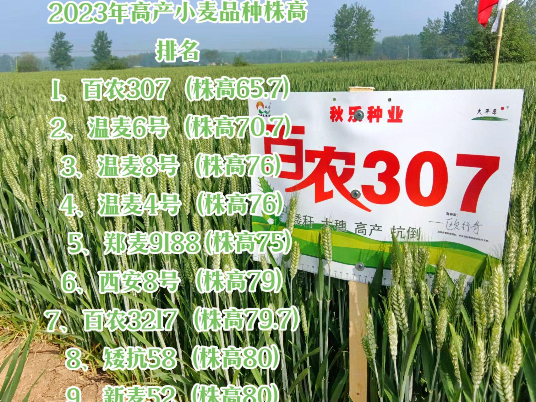 农业农村部登记推出特色农作物新品种1048个