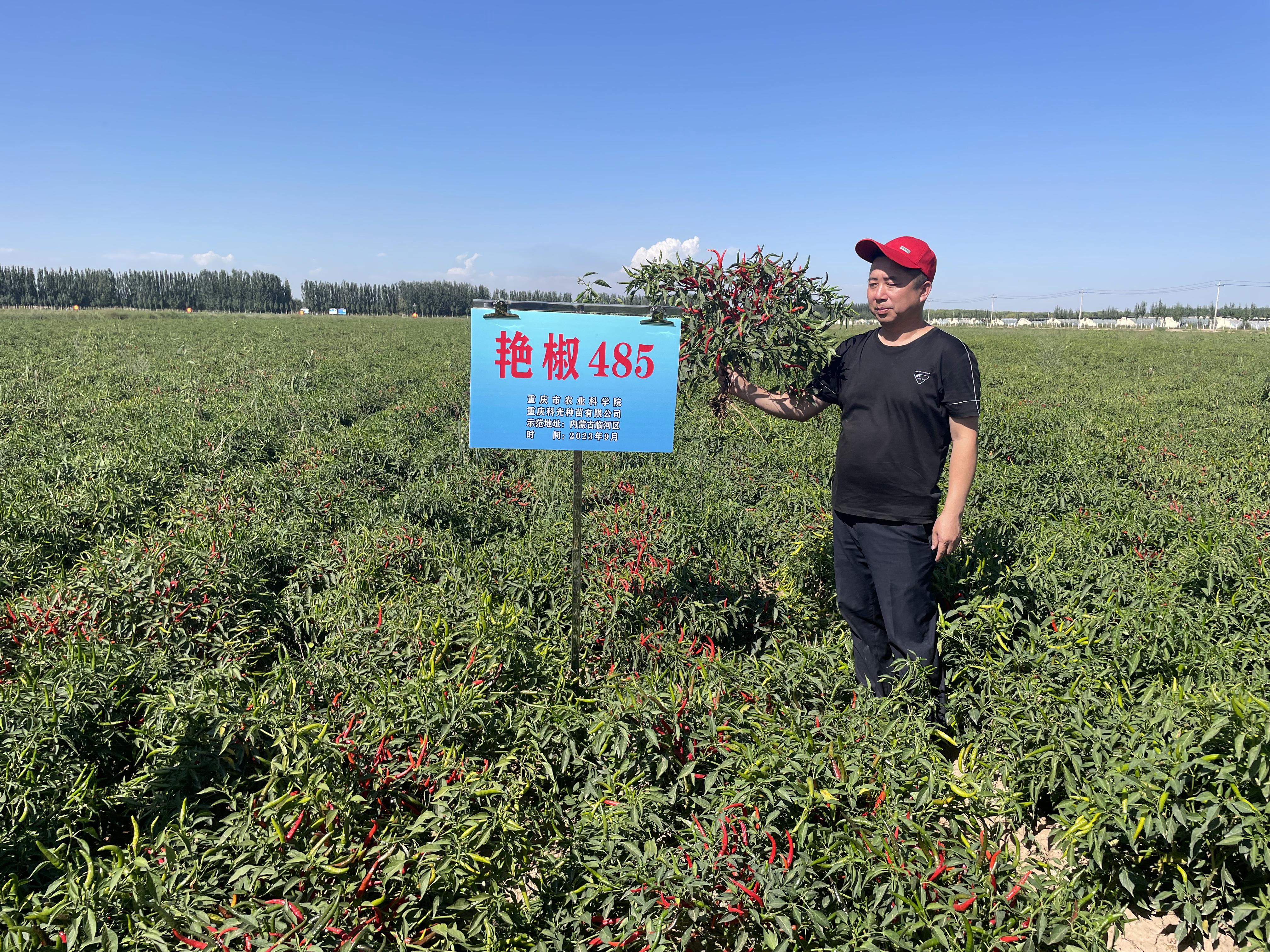 农业农村部登记推出特色农作物新品种1048个