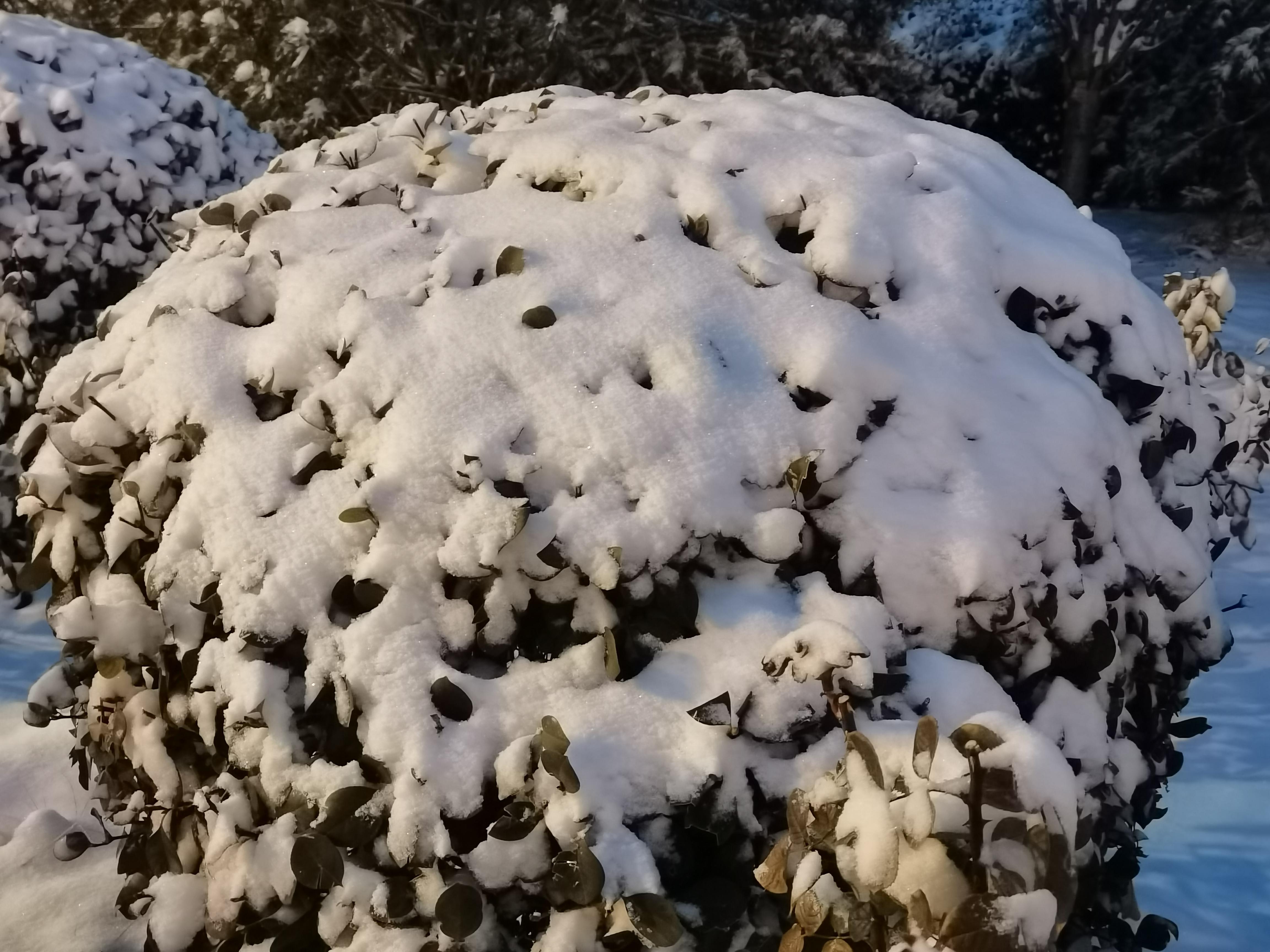 京城冬季看展新地标，地心瑰宝・人间华彩展启幕