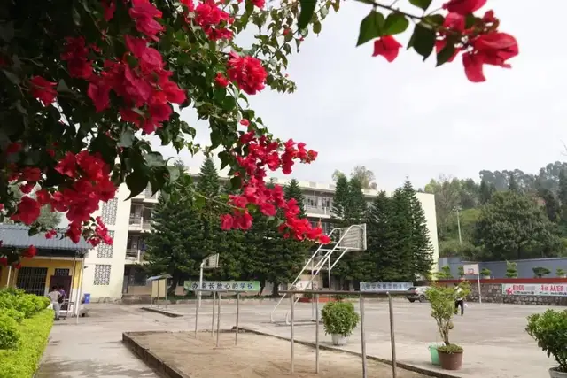 在昆明丑小鸭，观察“问题学生”和他们的家长