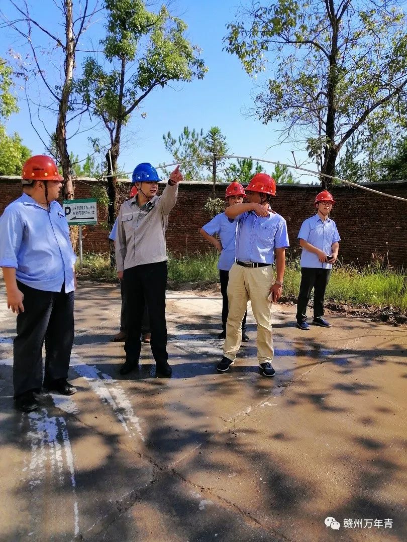 万年青董事、总经理李世锋辞职