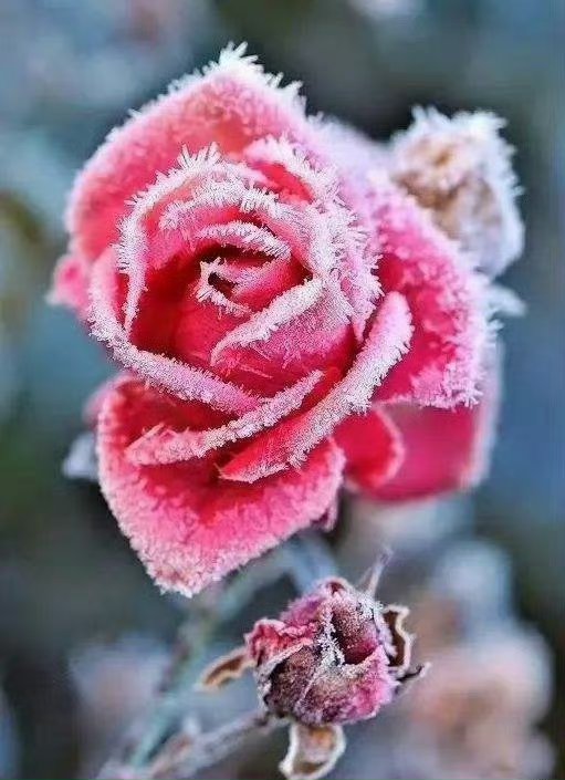 国债期货拉升 30年期主力合约涨0.38%