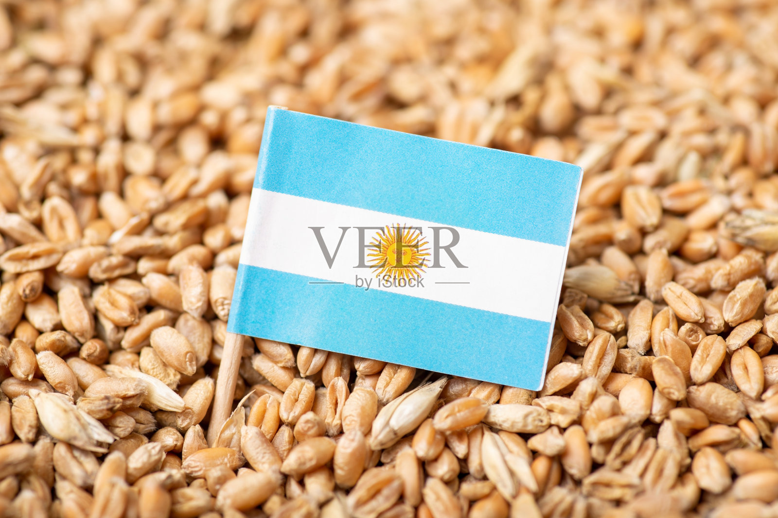 阿根廷小麦首次出口中国