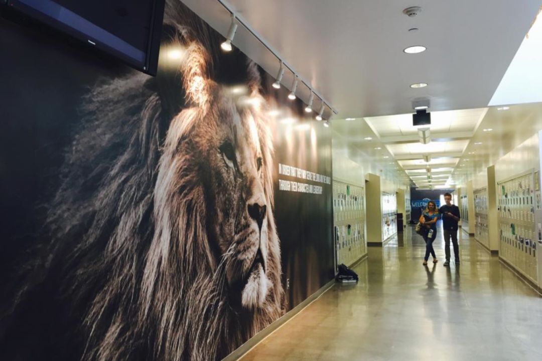 河内致力将和乐高科技园打造为越南“硅谷”