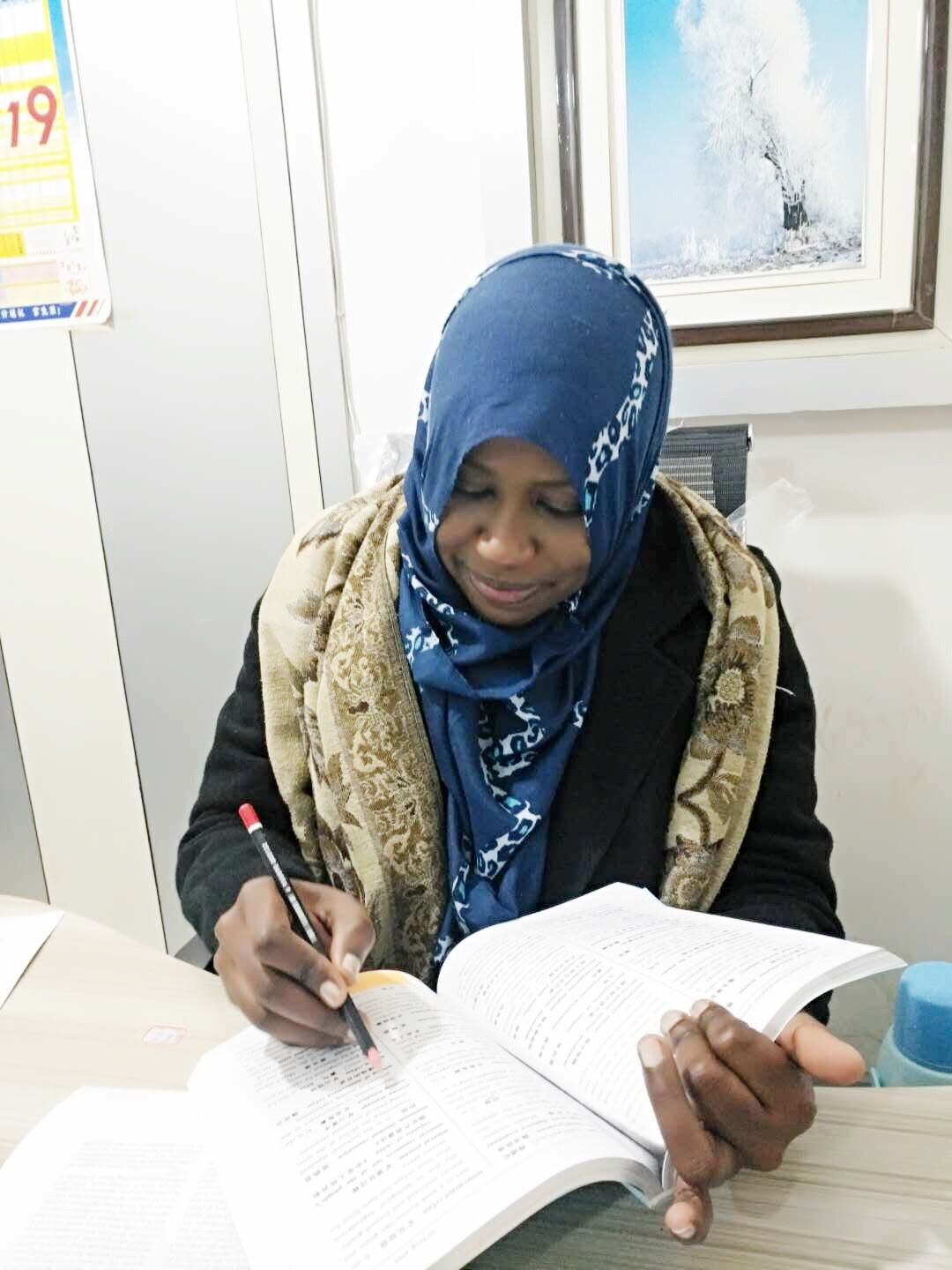 苏丹恢复开放空域工作取得新进展