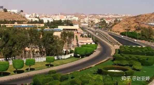 沙特环水农部公布巴哈省的多项投资机会