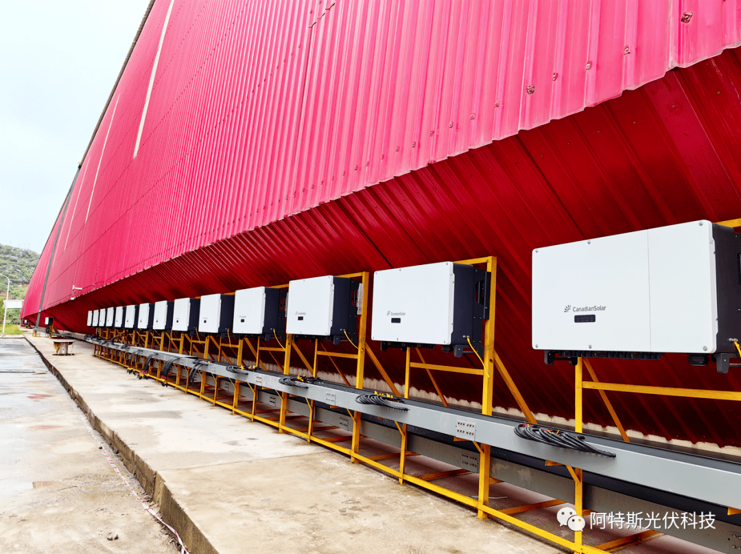 企业看好斯肉桂产业潜力