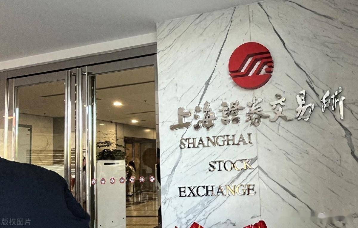 上交所发布公司债券受托管理指南 信用管理贯穿全周期