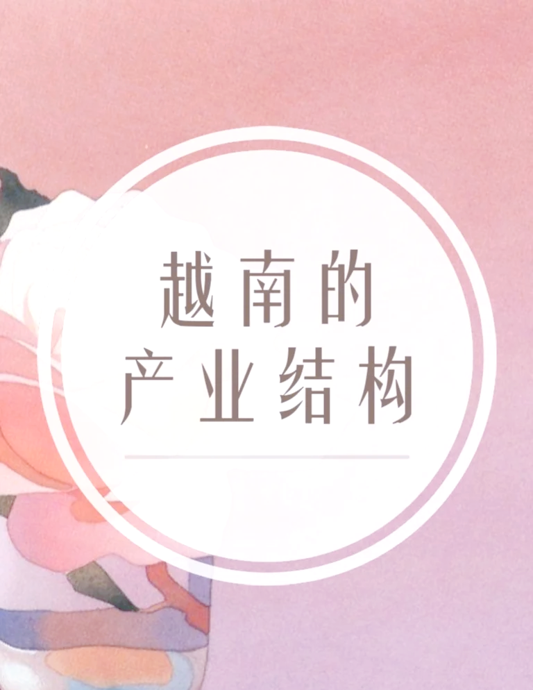 越南《数字化转型法》为数字国家建设构建法律框架