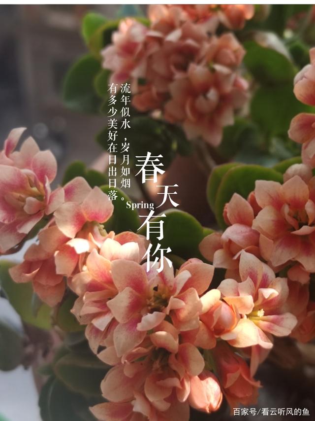 世界并非注定如此|我们的四分之一世纪