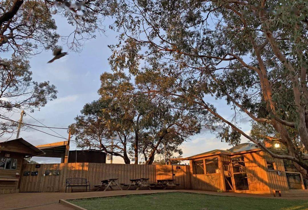 马政府在阿里巴巴国际站上线“Authentic Maldives”（正宗马尔代夫）品牌旗舰店