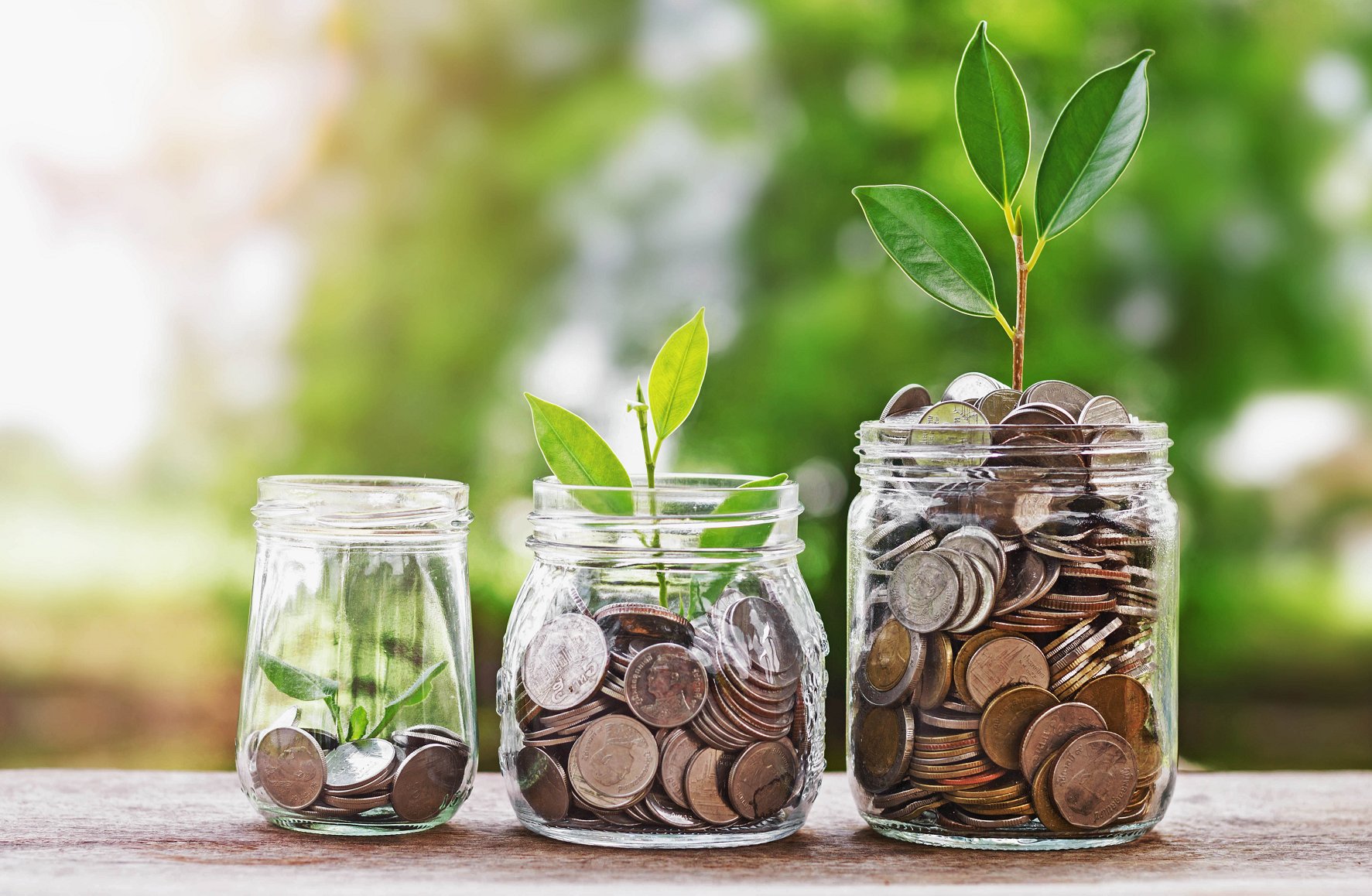 塞舌尔央行宣布2026年第一季度基准利率为1.75%