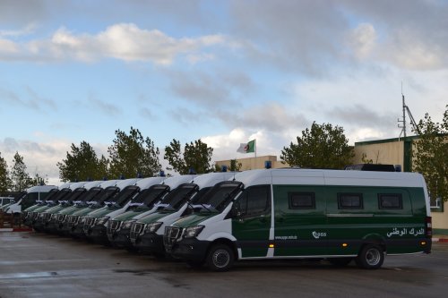 阿尔及利亚干旱加剧饲料短缺 养殖户集中采购大麦和麦麸