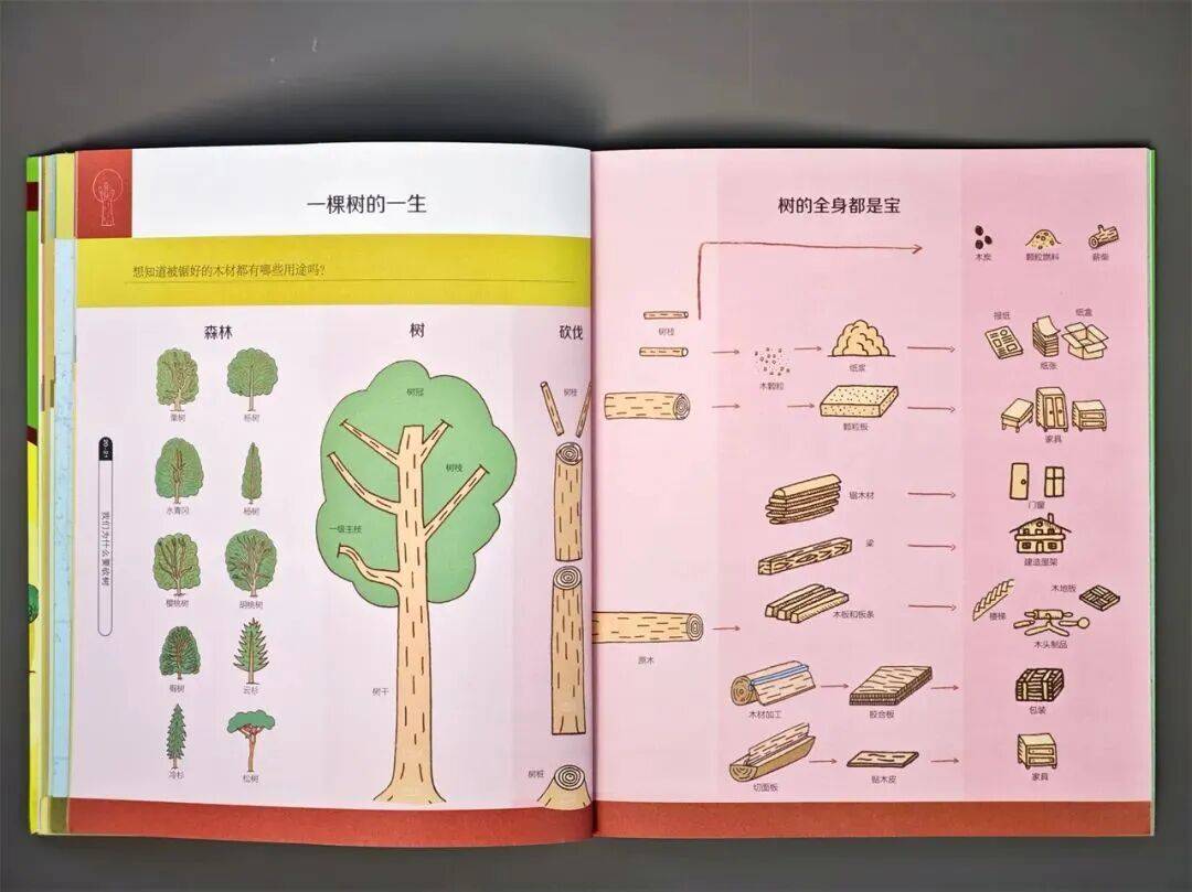 越聪明的孩子越难带？脑科学：若娃有这4种“烦人”表现，你就偷着乐吧