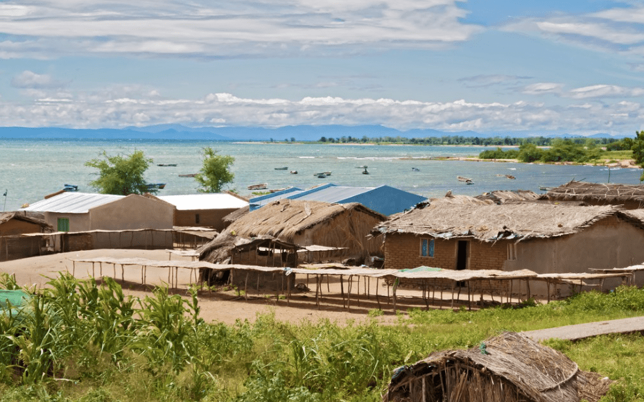 苏丹动物和渔业资源部计划推动重建项目