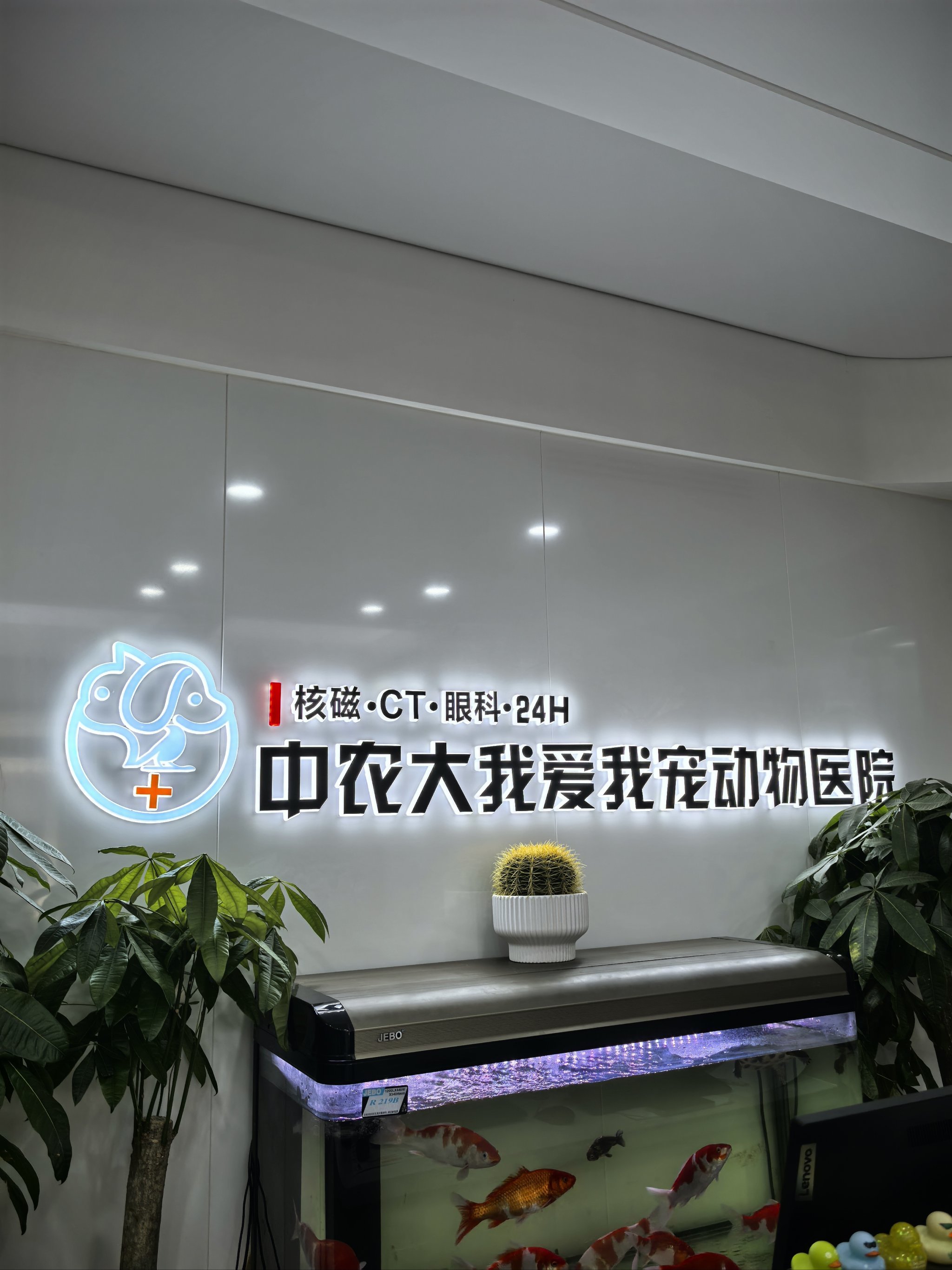 冲刺“宠物医院第一股”！瑞派宠物三年累亏超3亿，扩张急刹车、17.9亿商誉高悬