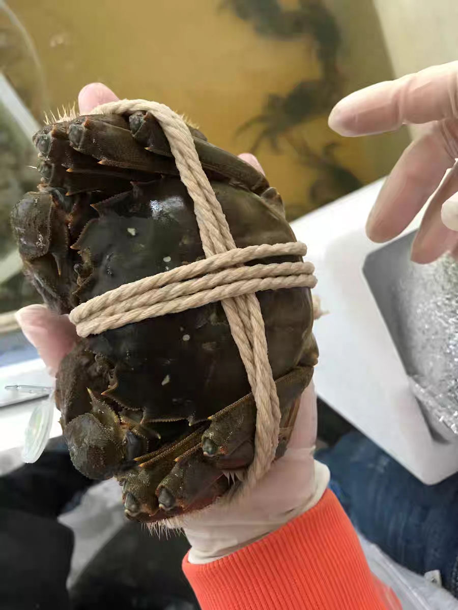 越南工贸部产品溯源系统于12月23日正式启用