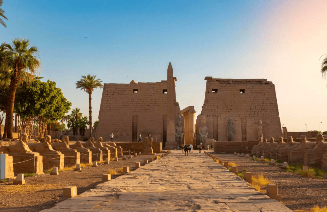 摩洛哥对埃及和阿联酋镀锌钢丝启动临时反倾销措施