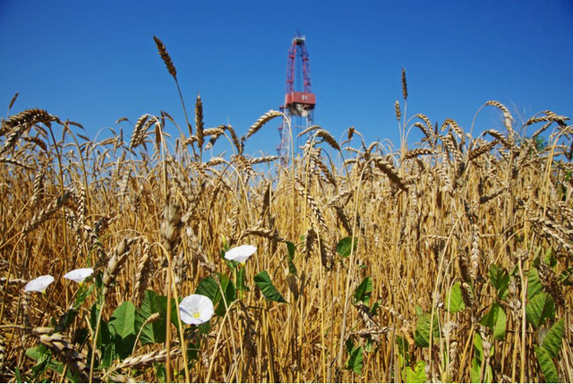 阿尔及利亚全国农业工程师联合会启动全面改革计划，推动农业部门发展