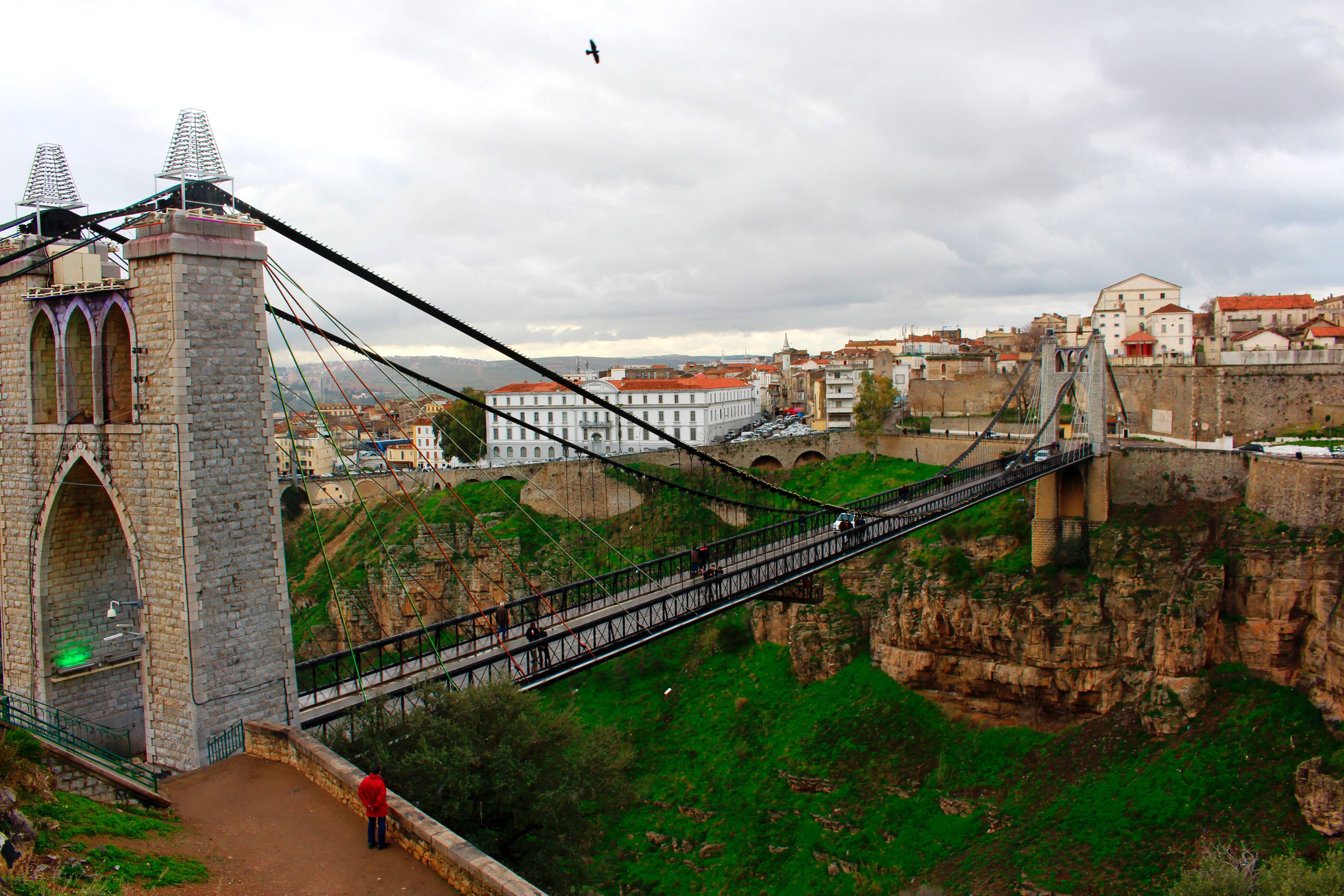 美国对阿尔及利亚钢筋征收127%反倾销税