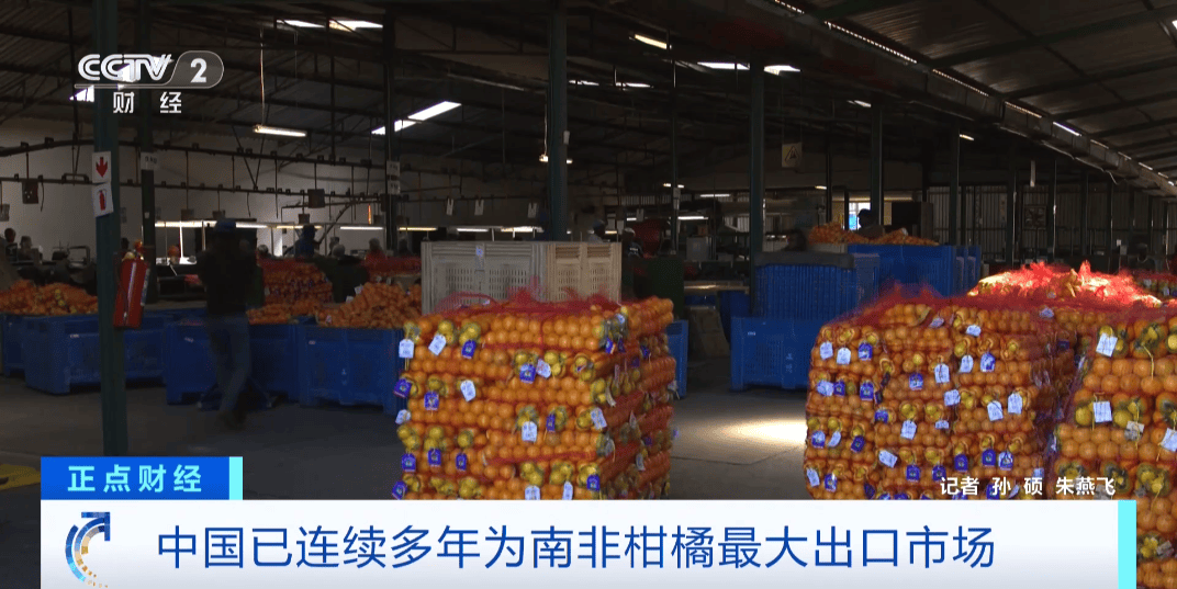 2025年南非口蹄疫疫情导致畜牧业出口收入损失约56亿兰特