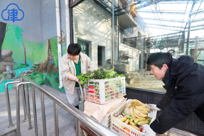 动物和渔业资源部长考察北方州肉类加工项目