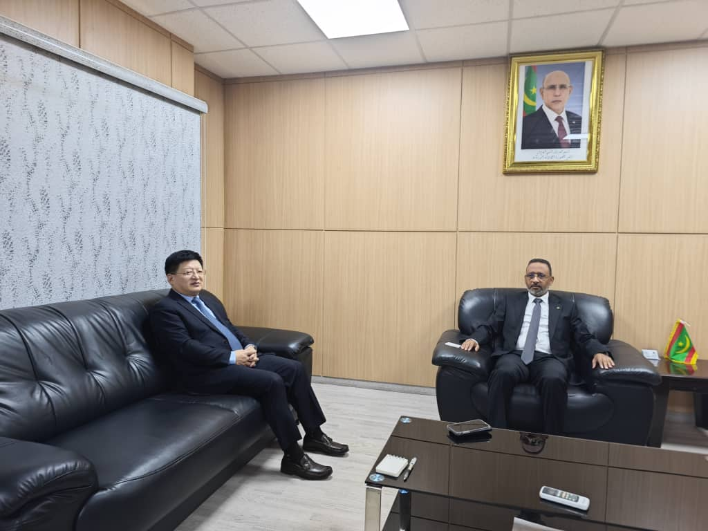 唐中东大使访问毛里塔尼亚布拉克纳省