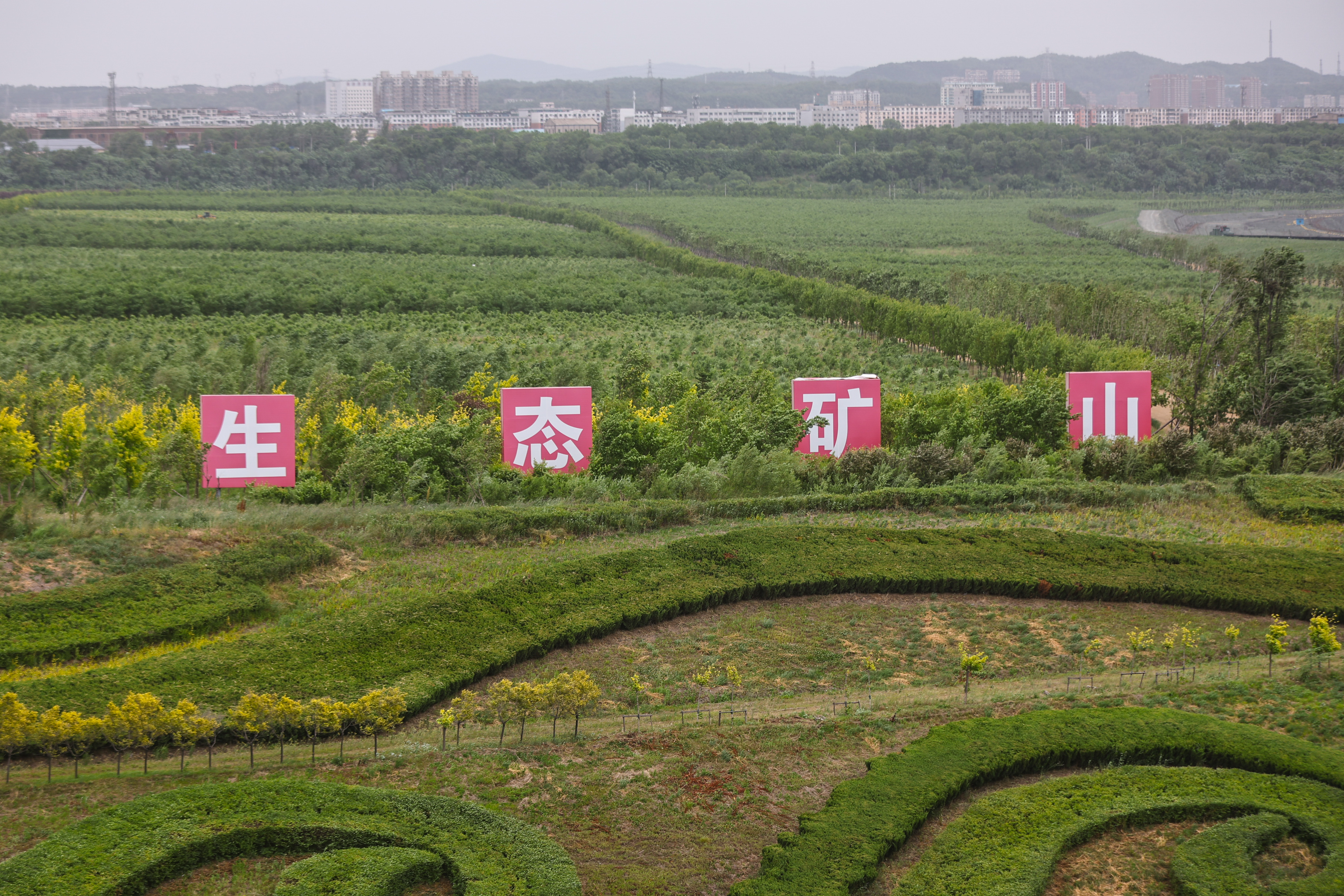 生态颠覆行业｜微观视界