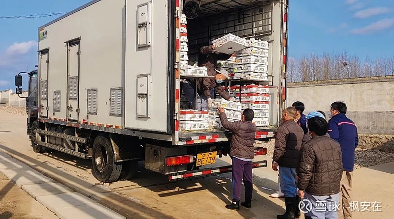 益生股份：公司祖代肉种鸡存栏40多万套，处于满产状态