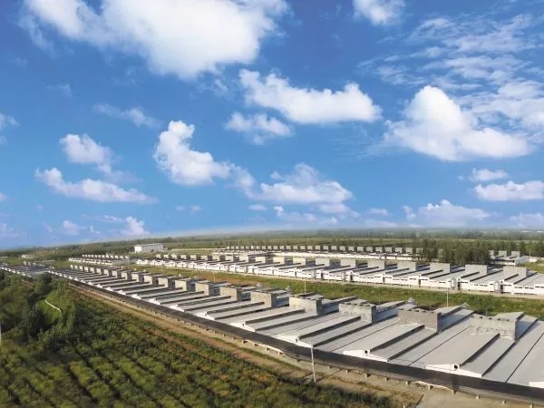 牧原股份:完成发行5亿元2026年度第一期科技创新债券