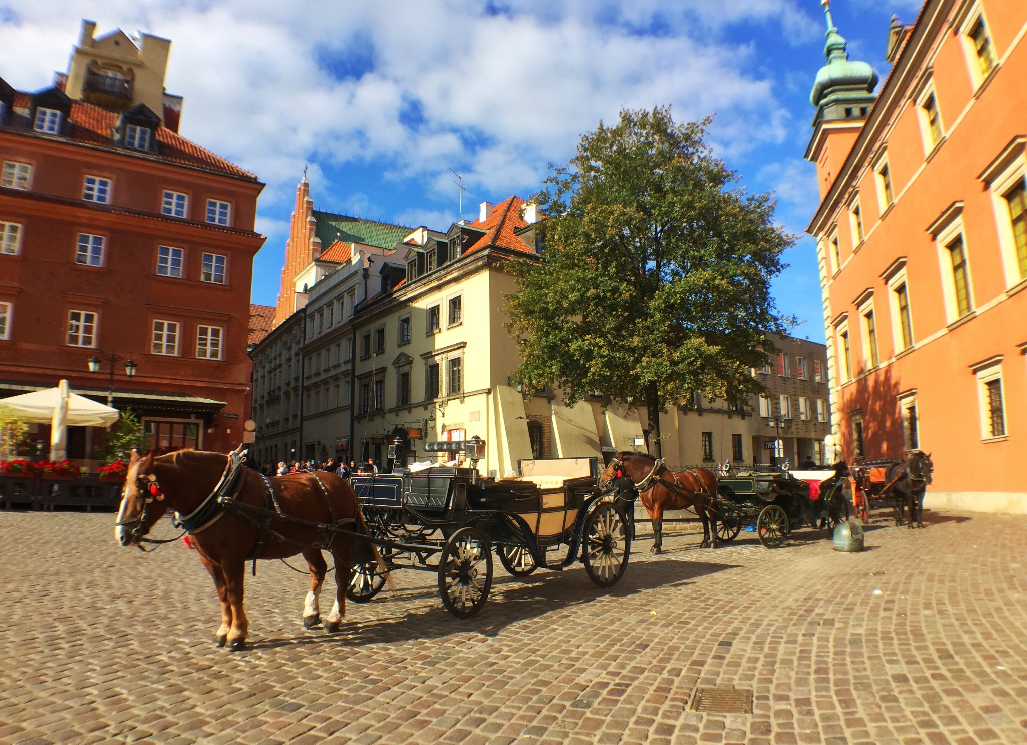 截至2024年底，共有149.9万波兰公民居住在国外