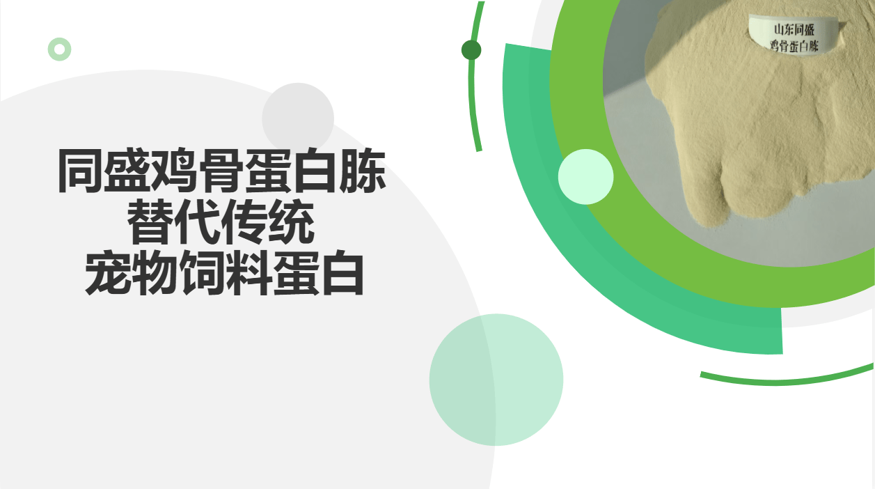 中国畜牧业协会宠物分会刘晓霞：“精致养宠”时代 宠物看病、出行为何仍是最大痛点？