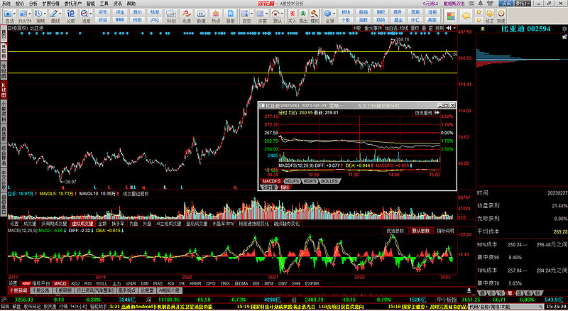 “24投资02”将于1月19日付息