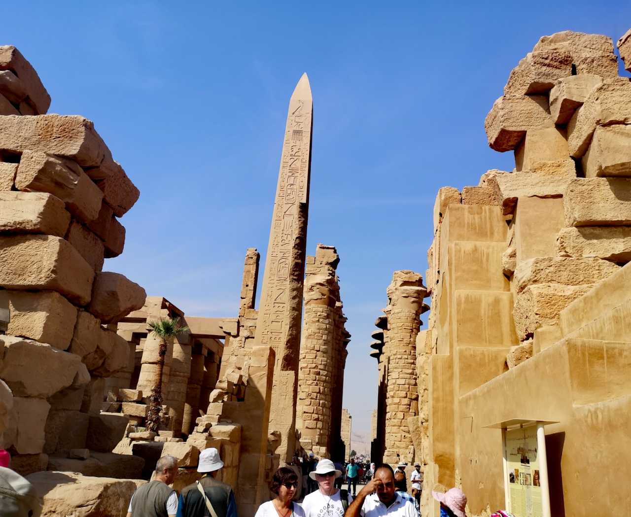 阿联酋与埃及推进CEPA谈判