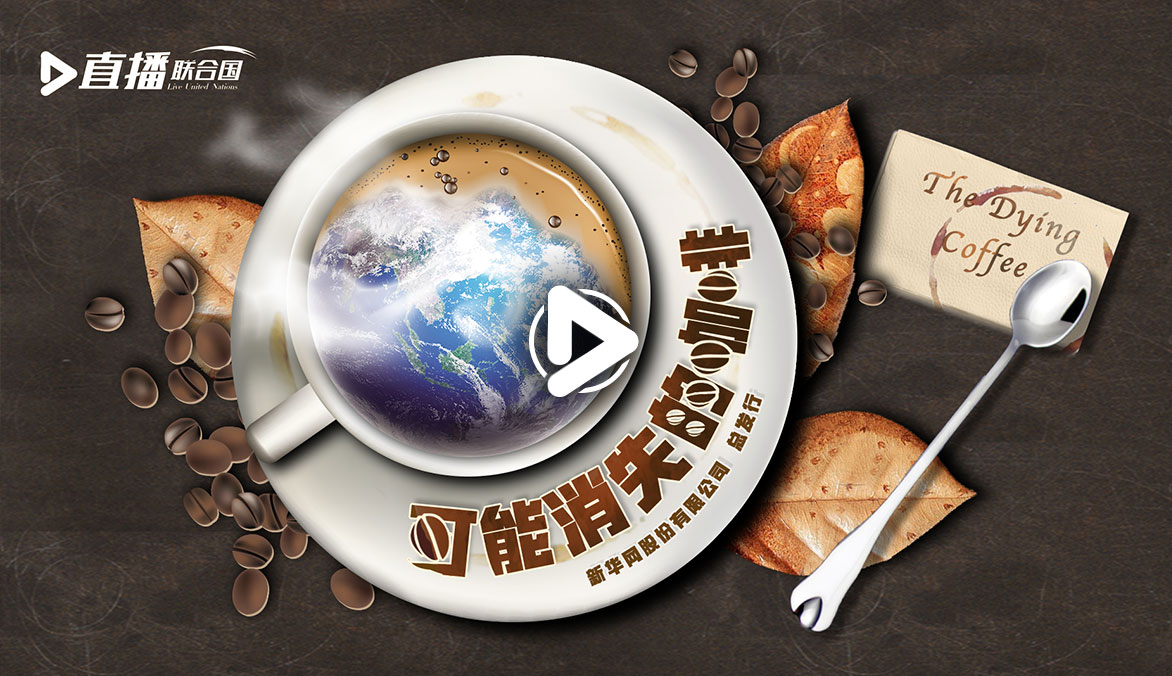 利比里亚启动本土咖啡复兴计划,20万株种苗免费助农增收