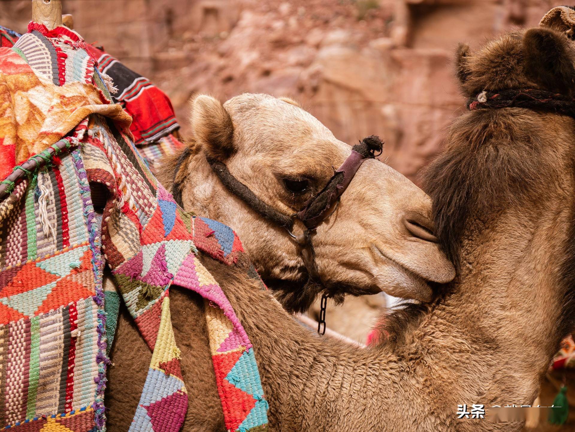 阿联酋非石油部门延续稳健增长势头