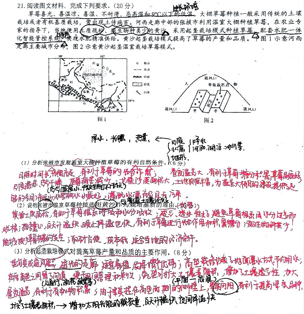 温室农业成为利比里亚应对气候危机与粮食安全的关键希望