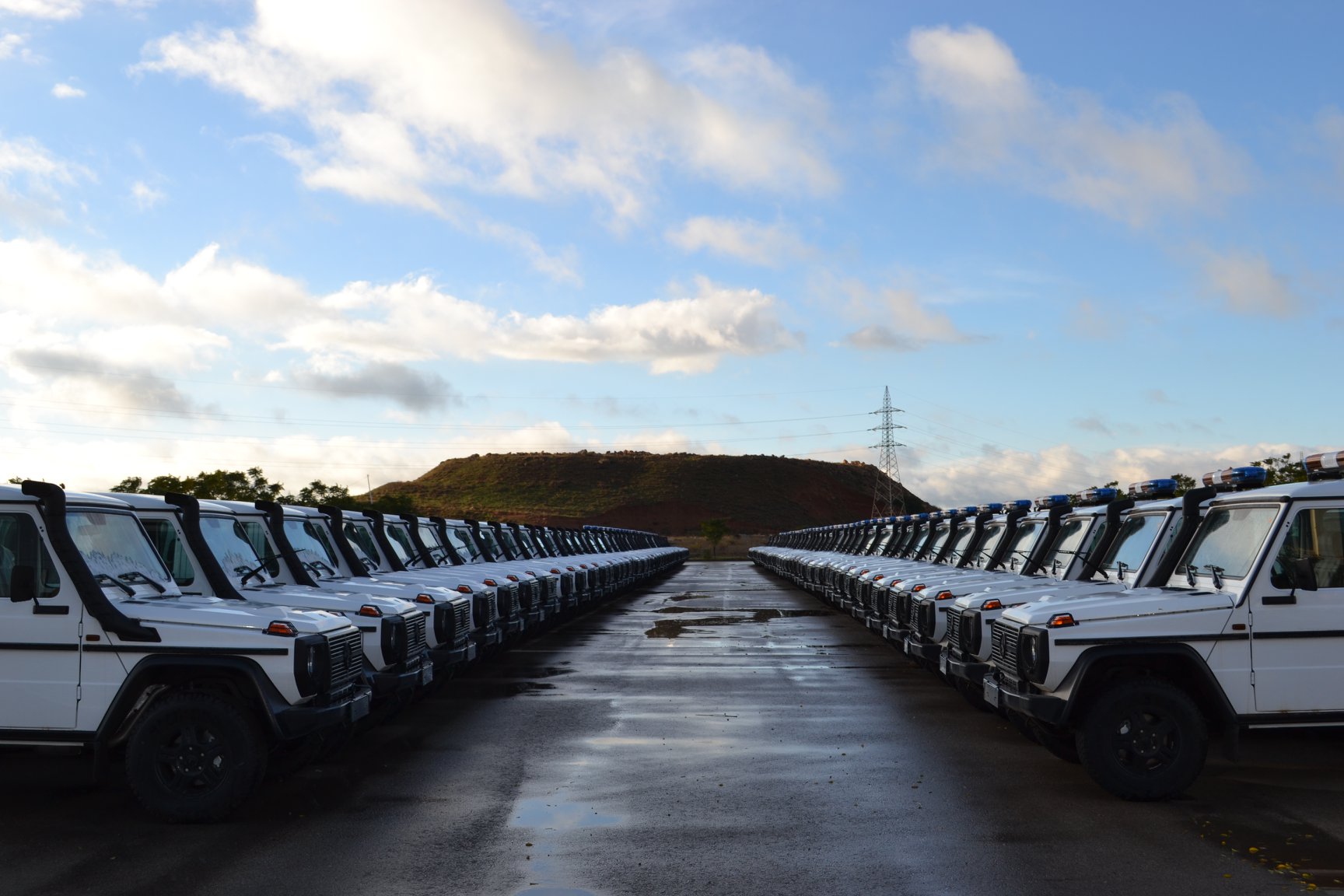 阿尔及利亚西班牙经贸关系明显回暖,2025年双边贸易加速恢复