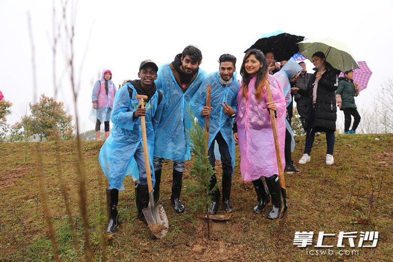 鼎信通讯风波不断:两位创始人解体,高管短线交易踩红线,新掌门人难挽亏损