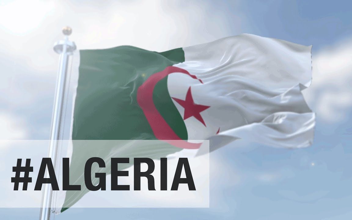 阿尔及利亚计划进口百万只活羊保障2026年宰牲节市场供应