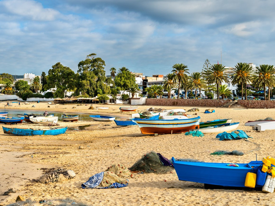 2025年全年突尼斯通货膨胀率降至5.3%