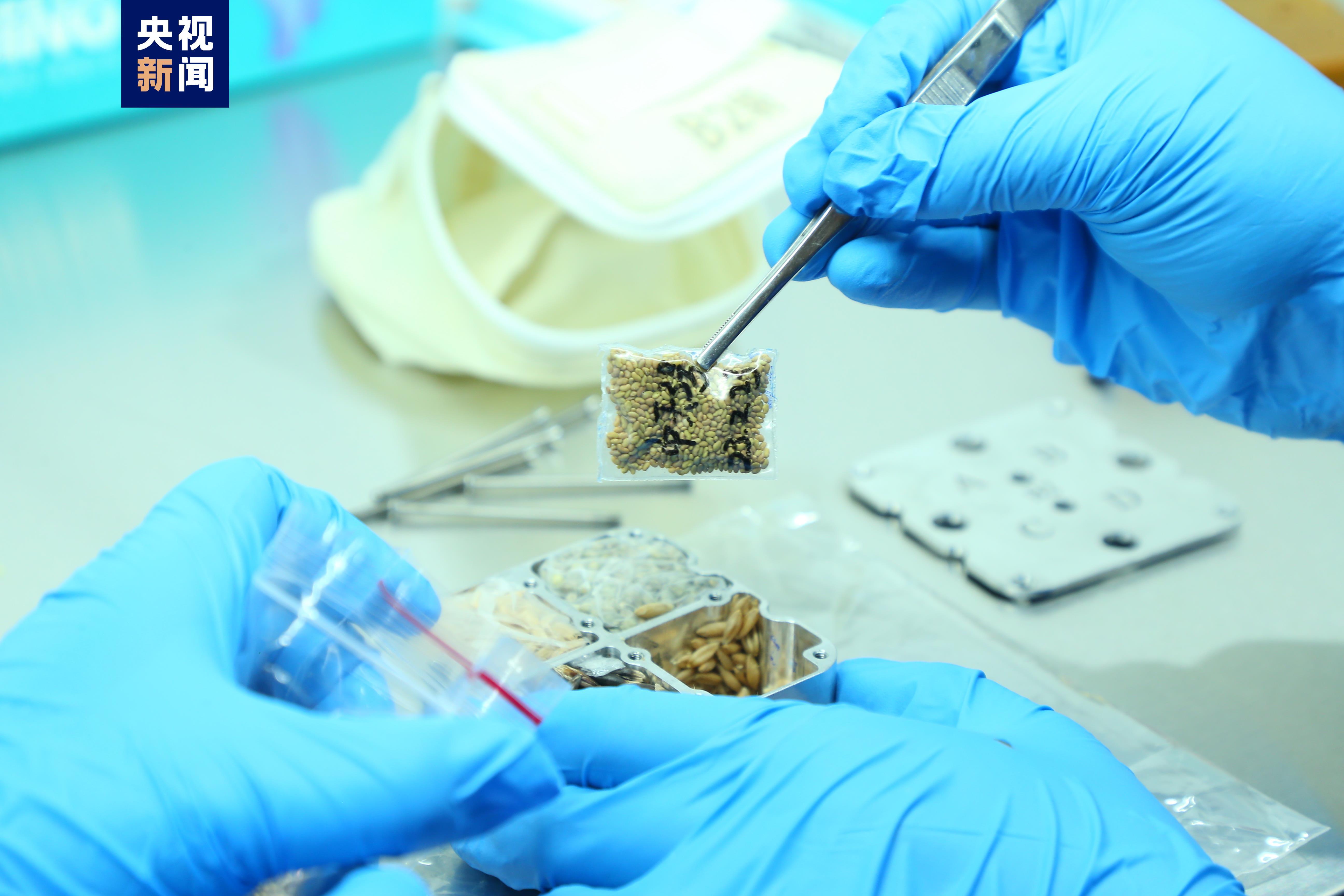 长电科技完成硅光引擎样品交付并通过客户测试