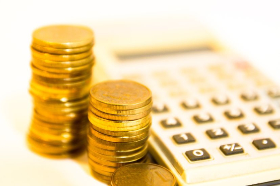 深化地方“自审自发”试点 更好发挥债券资金效益