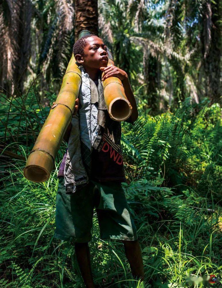 喀麦隆:咖啡价格达到20年来的最高水平,为每公斤5100中非法郎