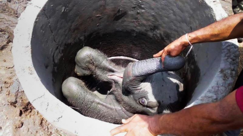 摩洛哥宣布暂停冷冻沙丁鱼出口