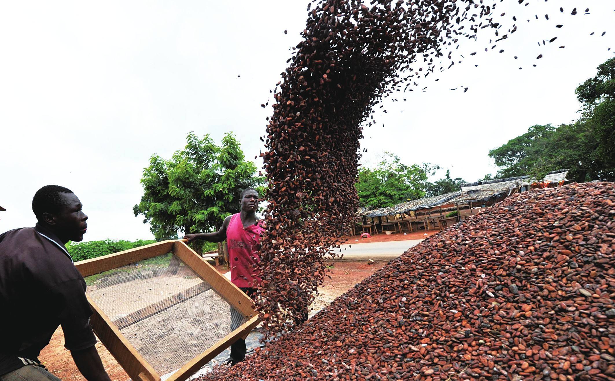 受非洲市场推动，肯第三季度出口增长2.5%
