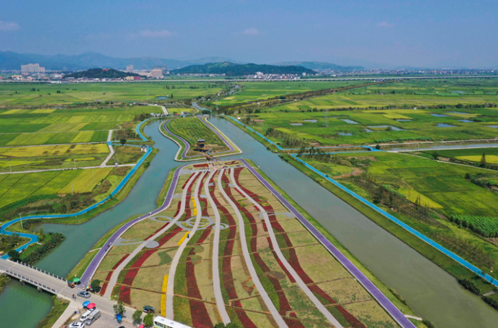 津巴布韦灌溉烟草面积显著扩大